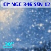 Cl* NGC  346    SSN    1219