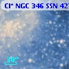 Cl* NGC  346    SSN     427