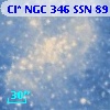 Cl* NGC  346    SSN      89