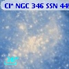 Cl* NGC  346    SSN     445