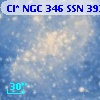 Cl* NGC  346    SSN     393