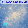 Cl* NGC  346    SSN      43