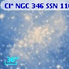 Cl* NGC  346    SSN     110