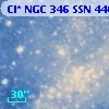 Cl* NGC  346    SSN     446