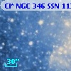 Cl* NGC  346    SSN    1137