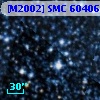 [M2002] SMC  60406