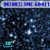 [M2002] SMC  60411