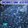 [M2002] SMC  61597