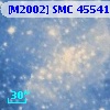 [M2002] SMC  45541