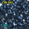 LIN 392