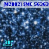 [M2002] SMC  56363