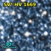 SV* HV  1669