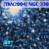 [TKN2004] NGC   330  4