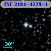 TYC 3181-4229-1