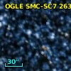 OGLE SMC-SC7 263172