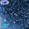 2dFS  1314