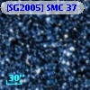 [SG2005] SMC 37