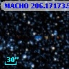 MACHO 206.17173.5