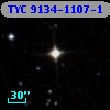 TYC 9134-1107-1