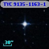 TYC 9135-1163-1