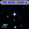 TYC 9135-1319-1