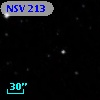 NSV   213