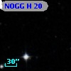 NOGG H   20