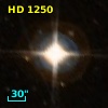 HD   1250