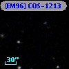 [EM96] COS-1213