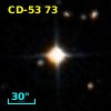 CD-53    73