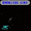 [EM96] COS-1203