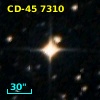 CD-45  7310
