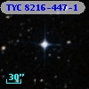 TYC 8216-447-1