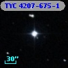 TYC 4207-675-1