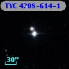 TYC 4208-614-1