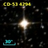 CD-53  4294