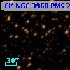 Cl* NGC 3960    PMS   20466