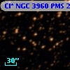 Cl* NGC 3960    PMS   25443
