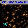 Cl* NGC 3960    MMU     286