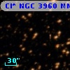 Cl* NGC 3960    MMU      55