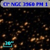 Cl* NGC 3960     PM       1