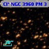 Cl* NGC 3960     PM       3