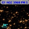 Cl* NGC 3960     PM       5
