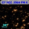 Cl* NGC 3960     PM       6