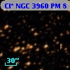 Cl* NGC 3960     PM       8