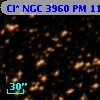 Cl* NGC 3960     PM      11