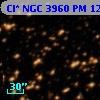 Cl* NGC 3960     PM      12