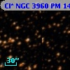 Cl* NGC 3960     PM      14