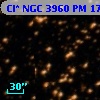 Cl* NGC 3960     PM      17