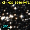 Cl* NGC 3960     PM      19